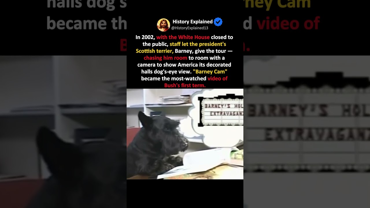 THE DOG WHO OPENED THE WHITE HOUSE