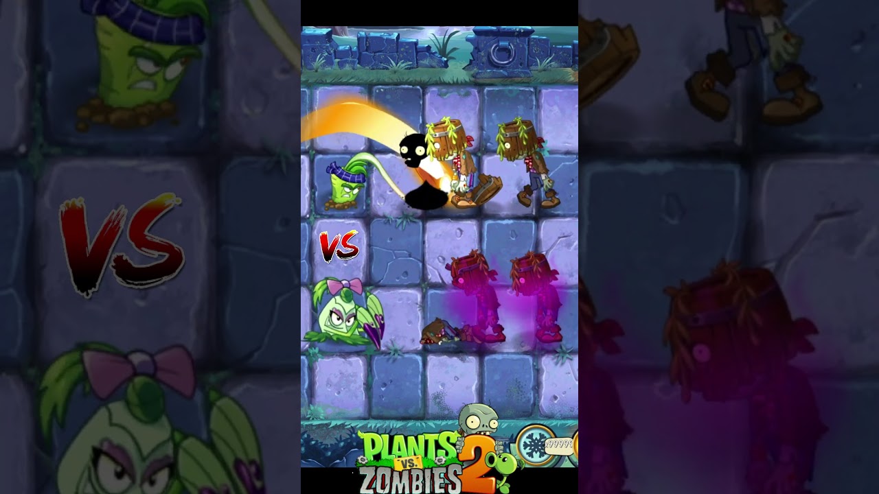 Pokra Vs Wasabi whip Vs Barrelhead Zombie | Plants vs Zombies 2 #pvz2 #pvz2gameplay