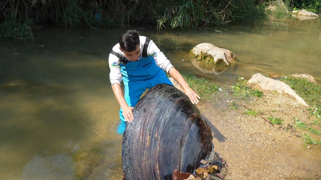 Girl’s River Discovery Unlocks a Pearl-Studded Fortune: The Giant Clam’s Secret Revealed!