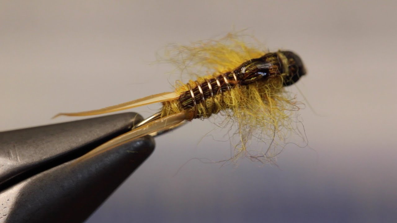 Simple Golden Stone