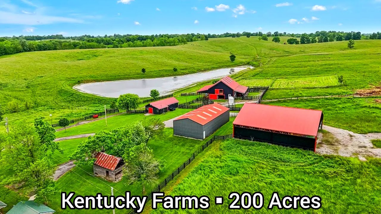 Kentucky Farms For Sale | 200 Acres | Kentucky Land For Sale | Livestock Investment | Barns