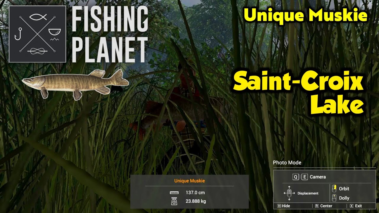 Unique Muskie Saint-Croix Lake - Fishing Planet