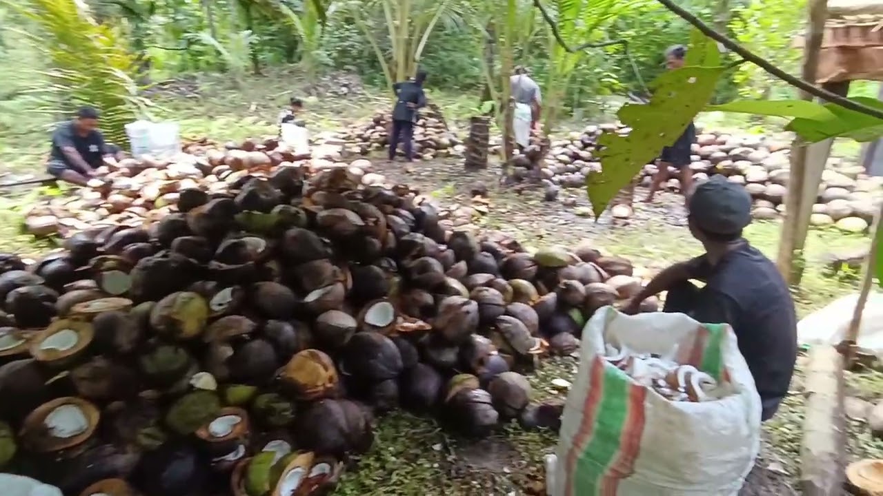 Istrahat Makan Siang, Kerja kelompok Bagian Ketiga Team EKLESIA Manyala🔥🔥🔥