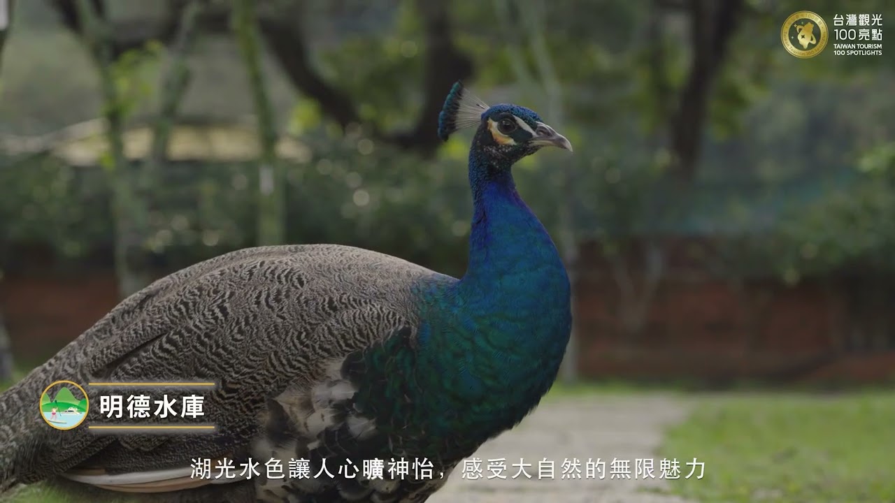 「2025台灣觀光100亮點‧苗栗精彩耀眼」宣傳影片