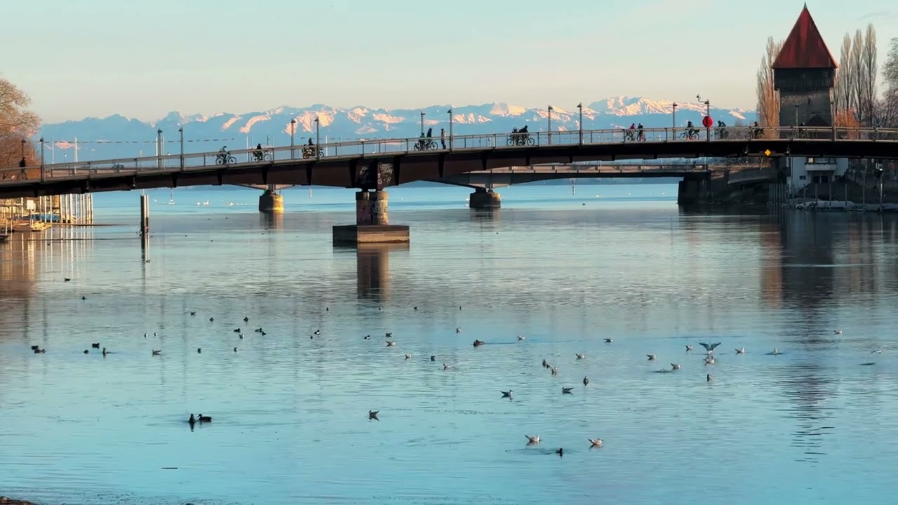 Konstanz Bike Bridge: Lake Constance, Rhine & Swiss Alps ❄️🏔️🚲🌊✨