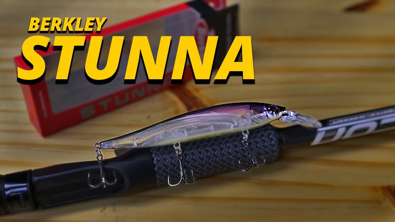 The Best Parts of the Berkley Stunna