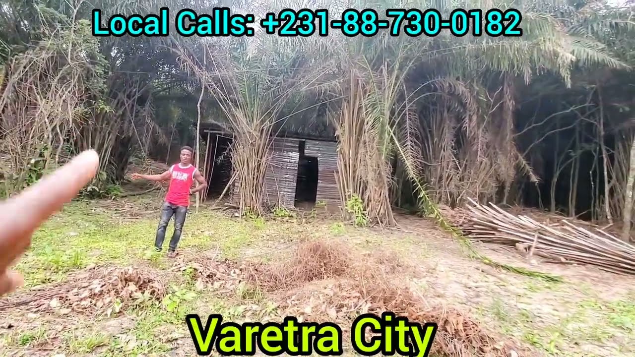 Another client building in Varetra City 