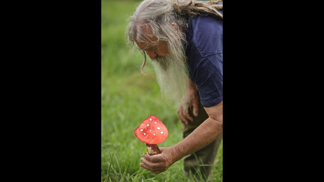 Wolf-Dieter Storl &uuml;ber die Bedeutung des Fliegenpilzes im Neujahrsfest 🍄