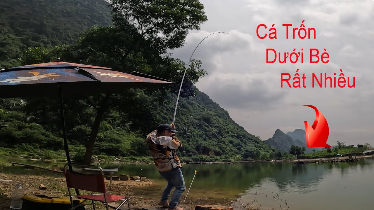 Câu Gần Bè Cá Cũ Rất Khỏe