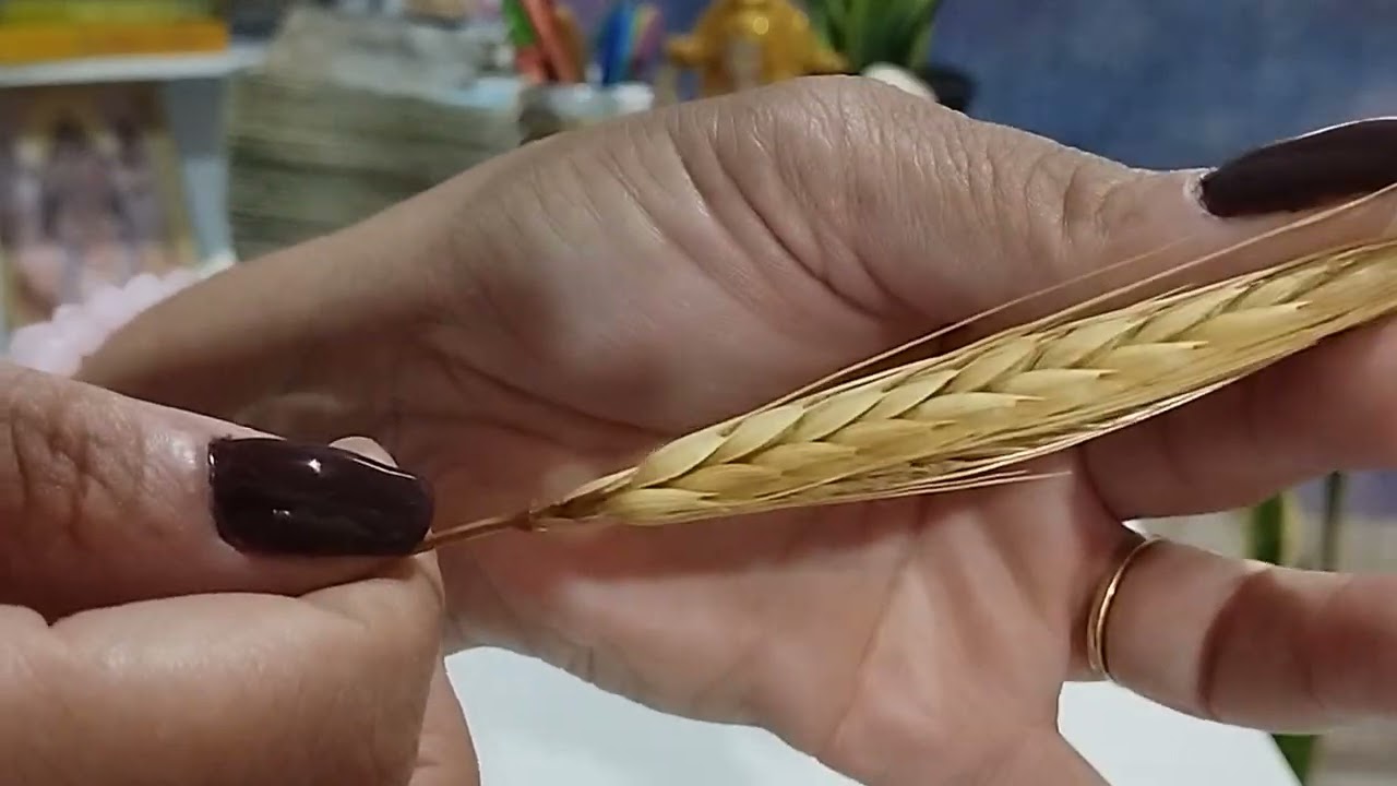 Escorpião 🦂♏ 16-22 Junho/24  O Joio e o trigo, quem é será separado de quem não é 🌾