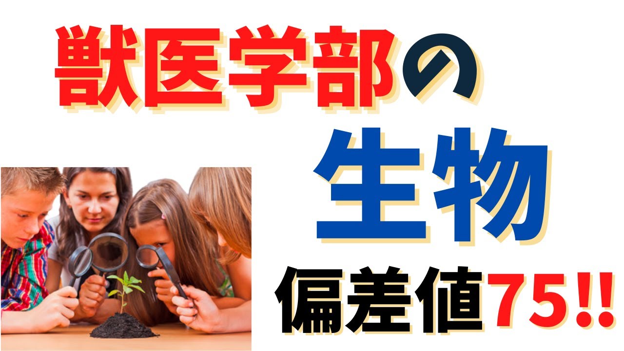 獣医学部受験と生物！偏差値75まで上げた勉強法と合格するための丸秘情報！！
