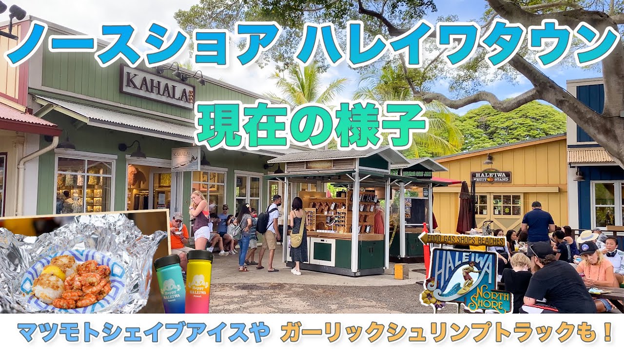 ハワイの今【ハレイワタウン】現在も行列のガーリックシュリンプのフードトラックやマツモトシェイブアイス等お店のオープン状況もご紹介しながら観光客の方で賑わう町を散策します！