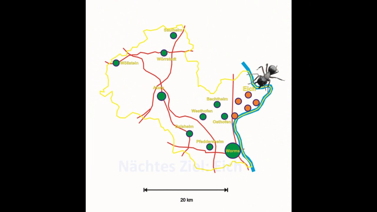 Roberts Geschichten Serie6 Rheinland Pfalz   Kreis Alzey Worms   vom Sandhof nach Alsheim