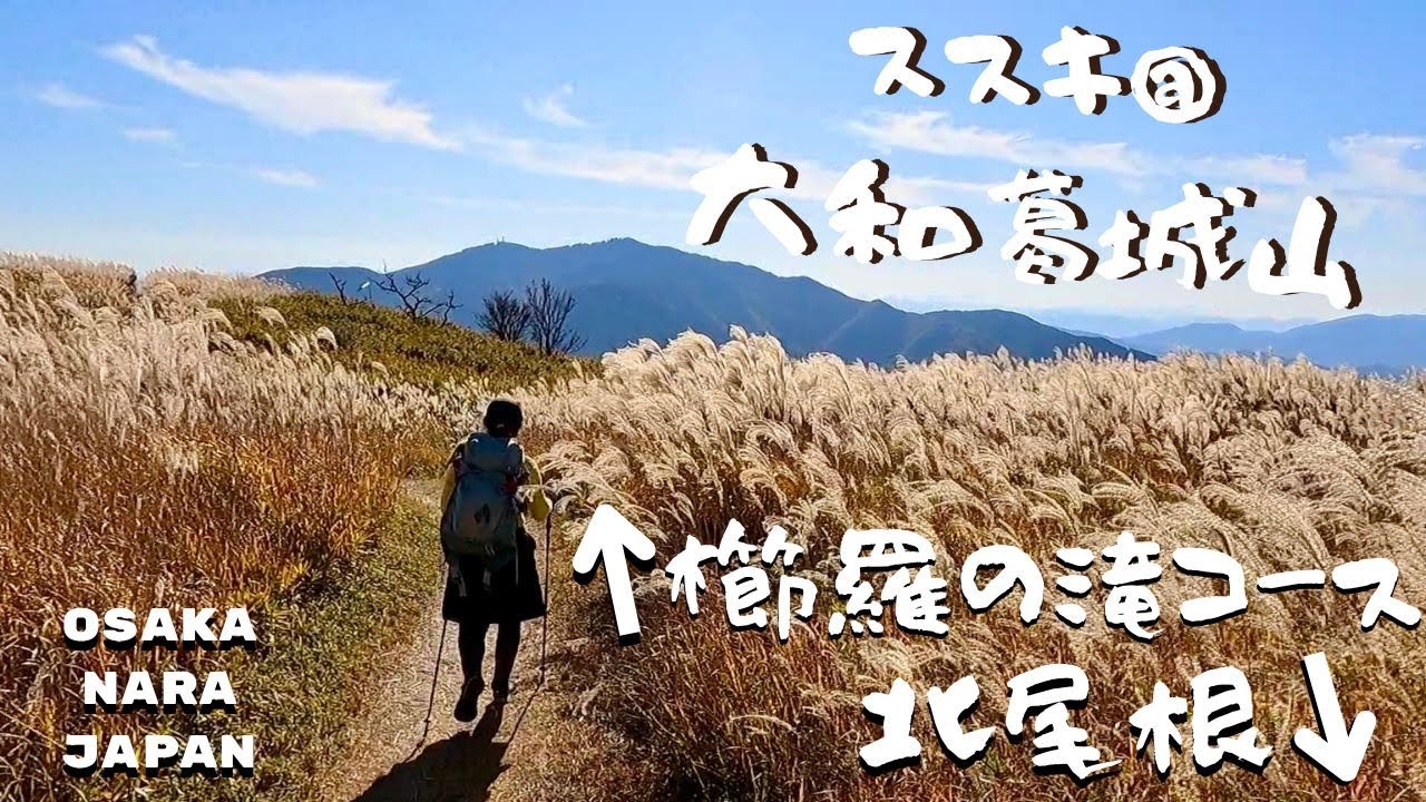 KUJIRA NO TAKI REOPENED! 復旧直後！櫛羅の滝コースから登るススキ輝く大和葛城山🌾🌾🌾