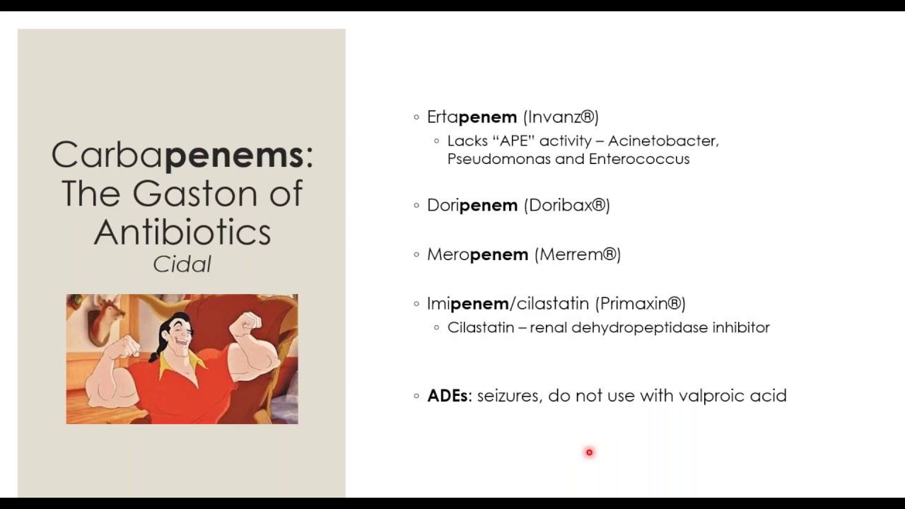 CIC Study Group | Dr. Jillian Hayes Killing the Bugs and Saving the Drugs