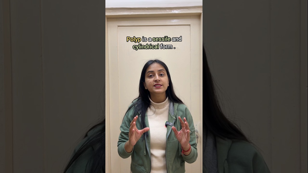 Polyp and Medusa forms | Phylum Coelenteratera #ytshorts #shorts #neet #biology #study #class11