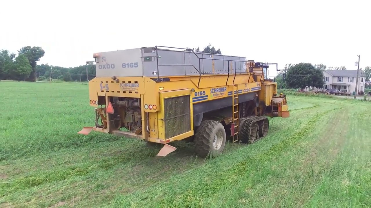 Western NY pea harvest