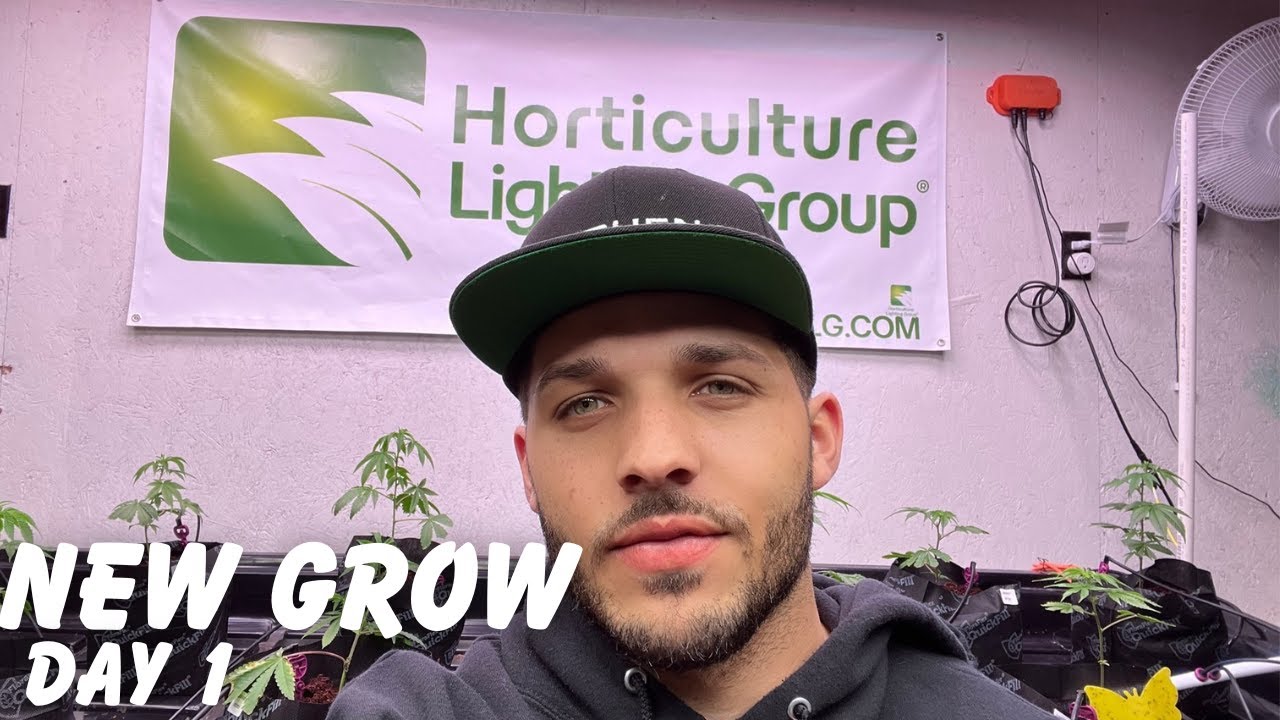 Starting a New Grow From Clone (vlog)
