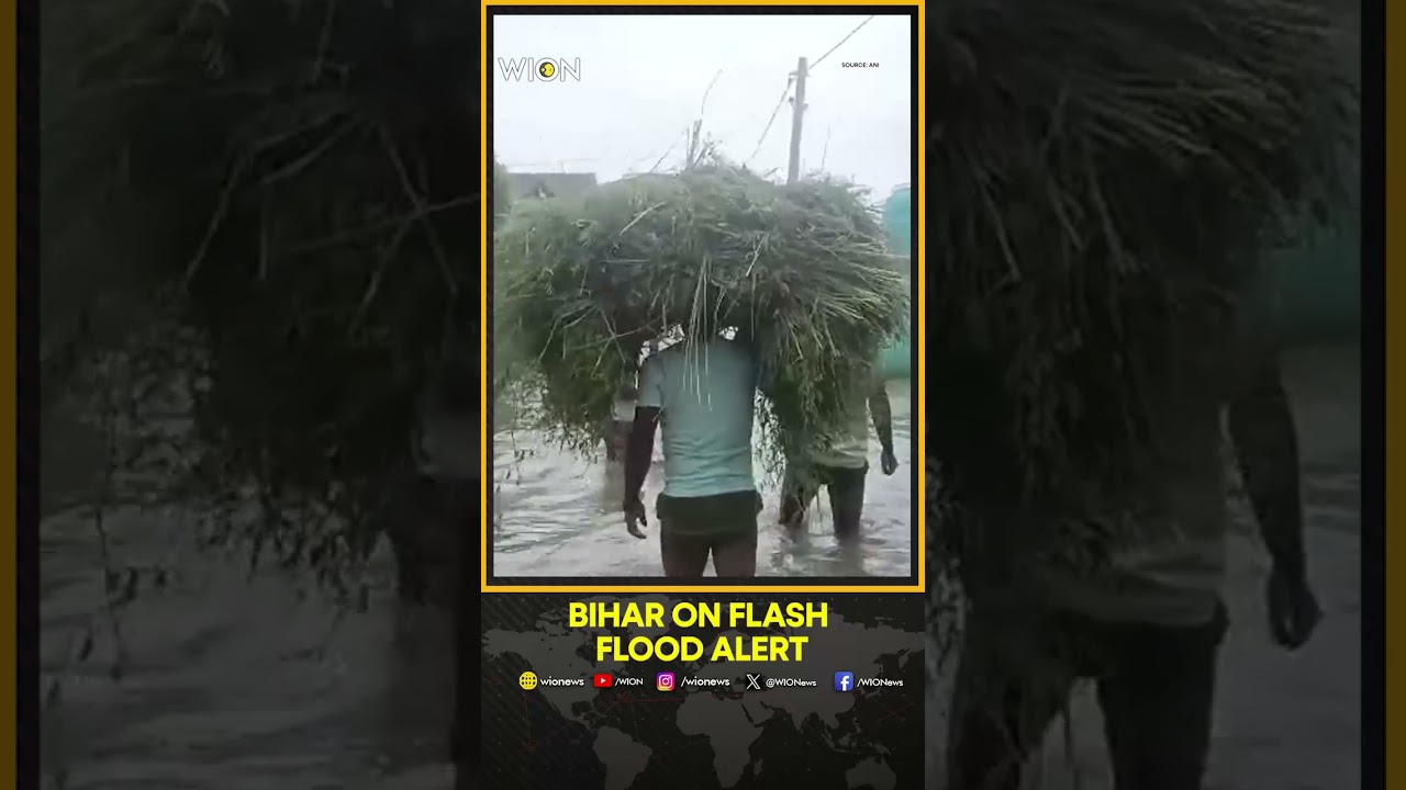 Bihar On Flash Flood Alert: Jamuna overflow in Jehanabad