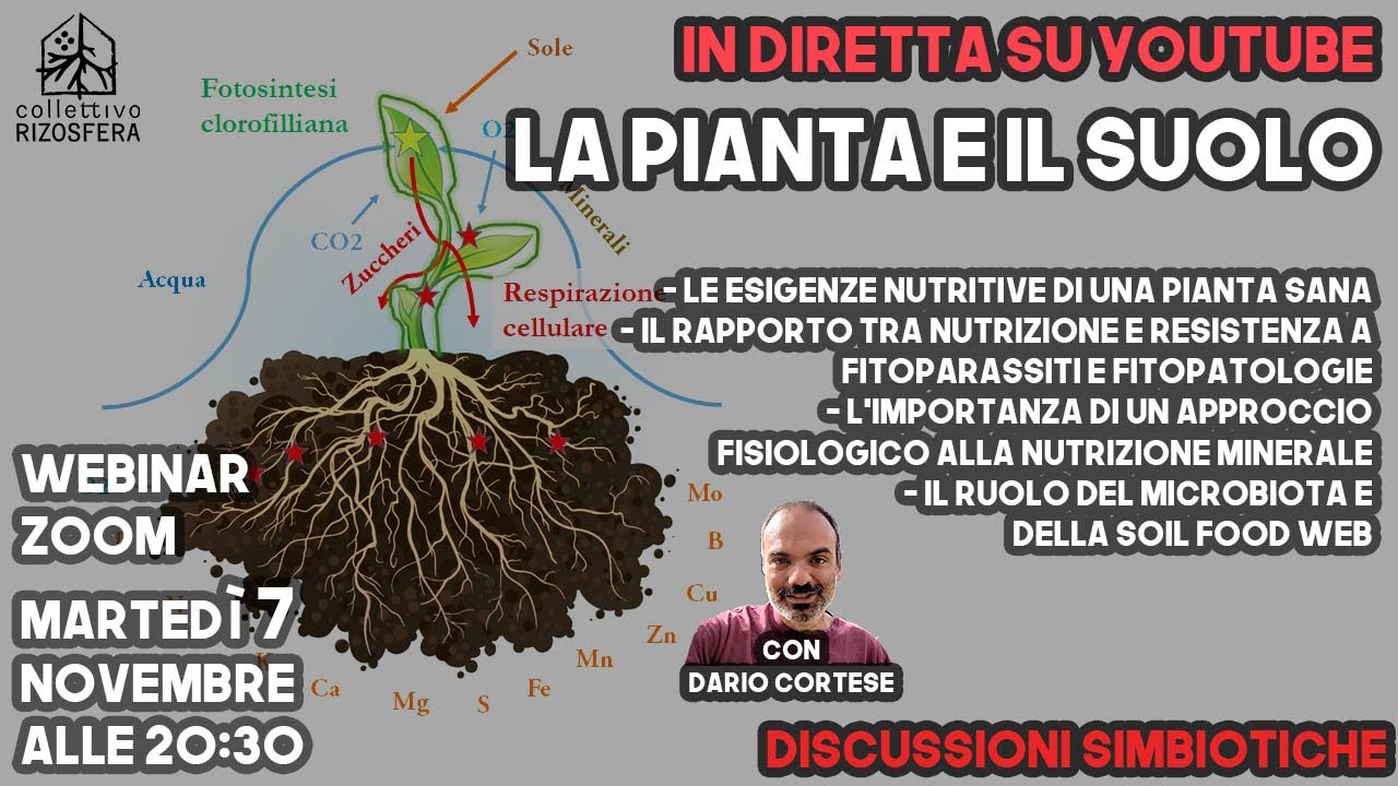 La PIANTE e il SUOLO - Dario Cortese - DISCUSSIONI SIMBIOTICHE