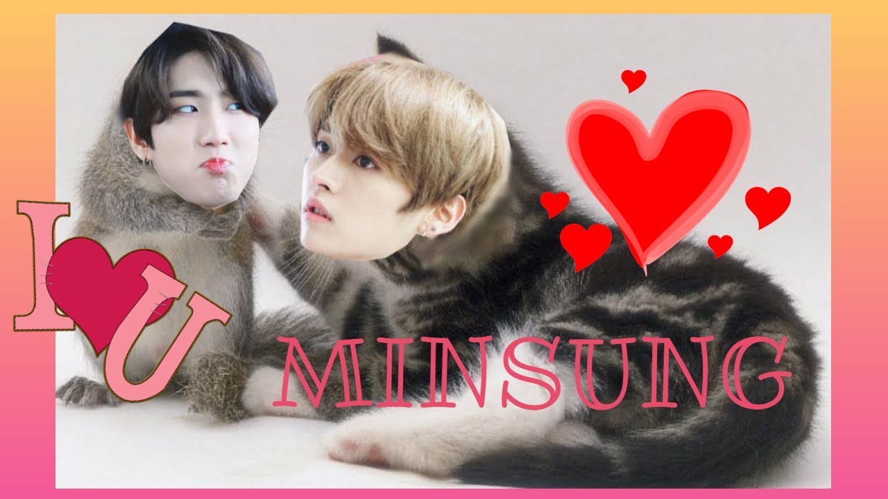 A day in the life of Minsung [Minsung on crack] #minsungisreal