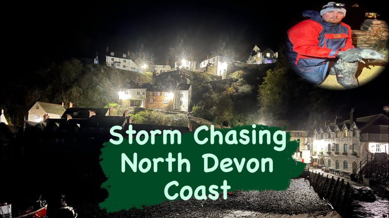 🦭 UK shore Fishing North Devon in a storm for big fish with a SURPRISE RESCUE🦭