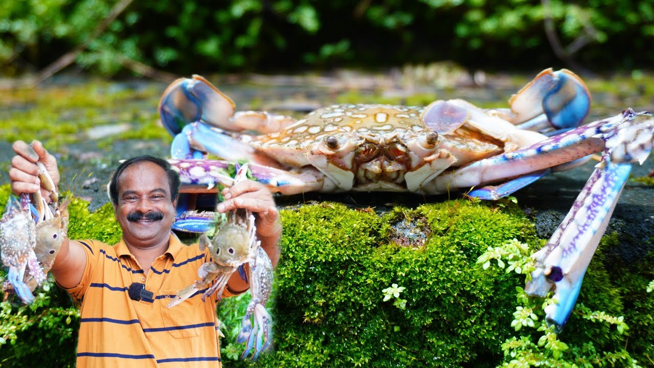 💯നാവിൽ കൊതിയൂറും രുചിയിൽ ഞണ്ട് കറി ഉണ്ടാക്കുന്ന വിധം 😋👌 | Njand Curry | Crab Curry | Keralastyle 