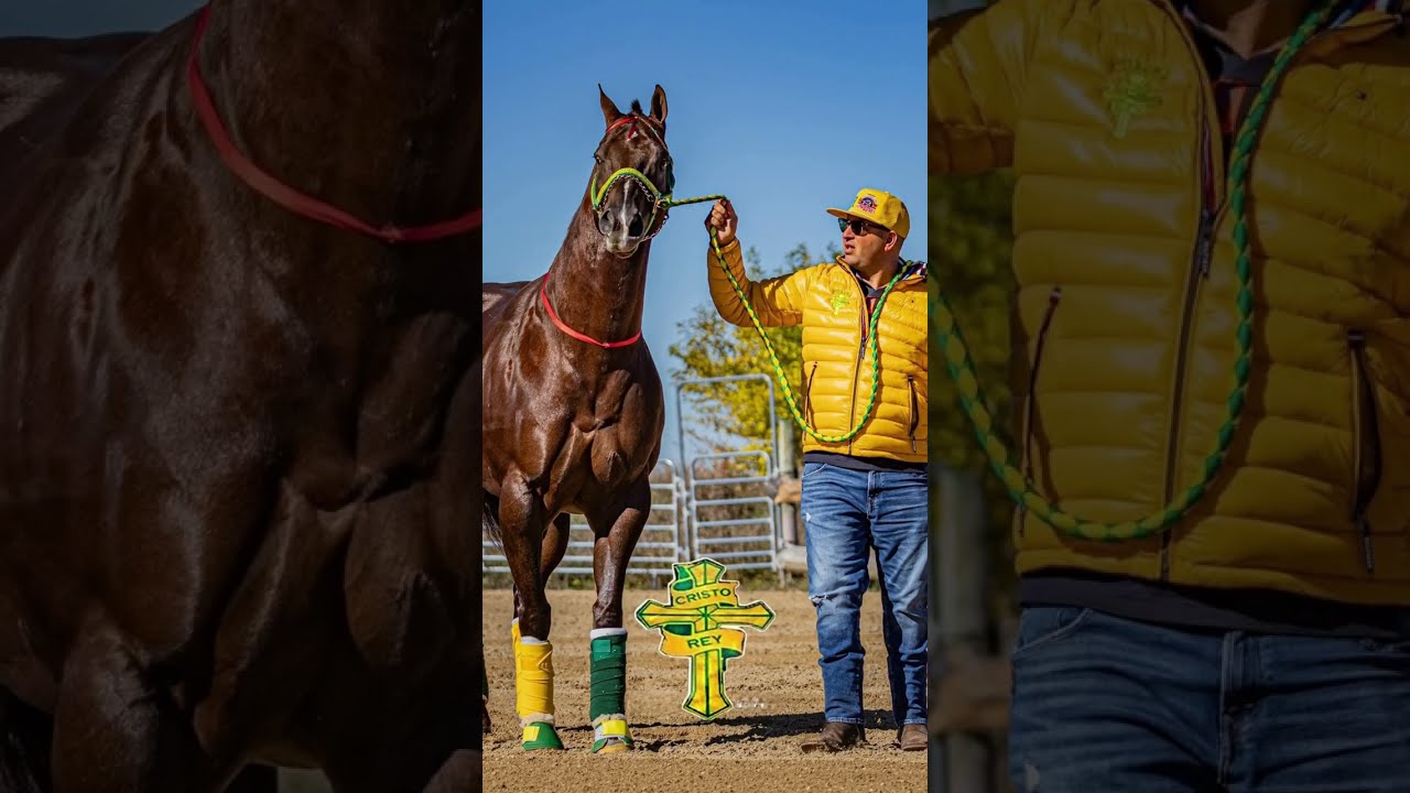 La Gran Escuela Oficial 1. Los Grandes Maestros de las Carreras de Caballos en Cuba. Anier Beritan.