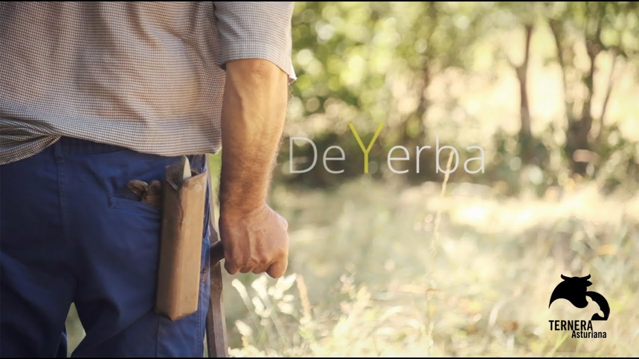 Capítulo I de Yerba - Ternera Asturiana