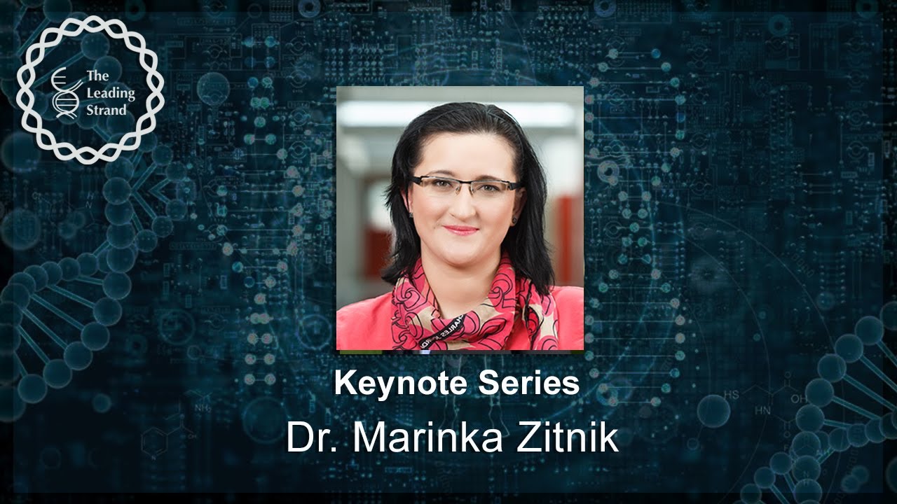 CSHL Кейнте, доктор Маринка Зитник, Гарвардский университет