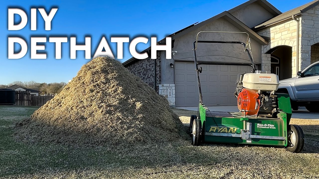 Dethatching my Bermuda Lawn