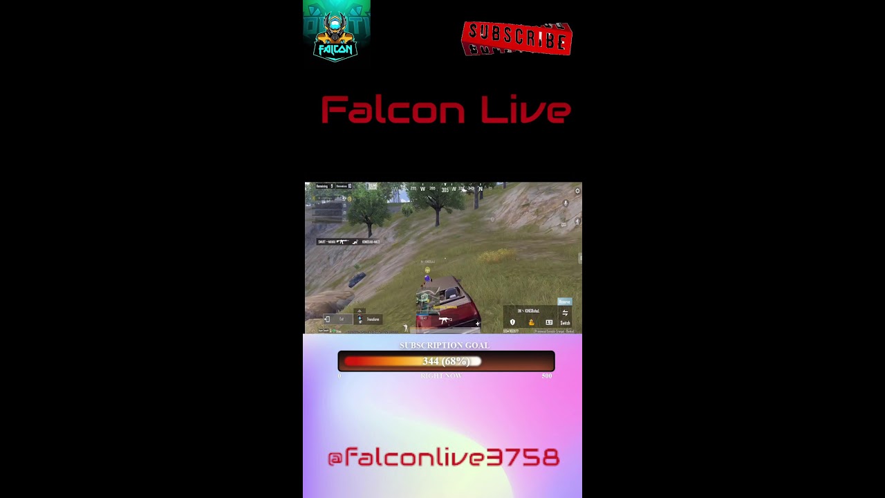 Fall & Wake Up | Always Try | Falcon Live | 127 / 365 (Portrait)