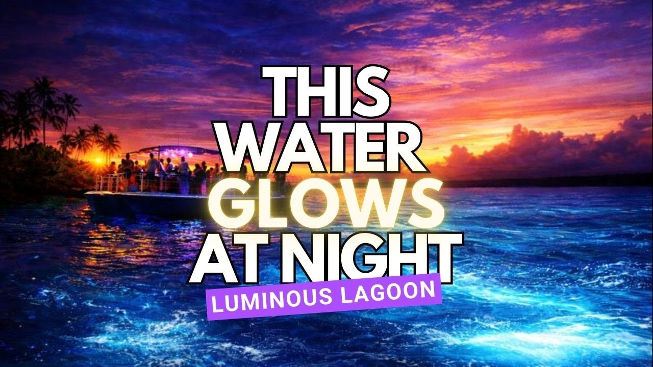 We Jumped Into a Glowing Lagoon on Our Final Night 😳🌊