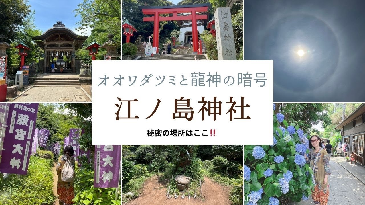 【江ノ島神社】秘密の場所はここ‼️オオワダツミと龍神の暗号‼️