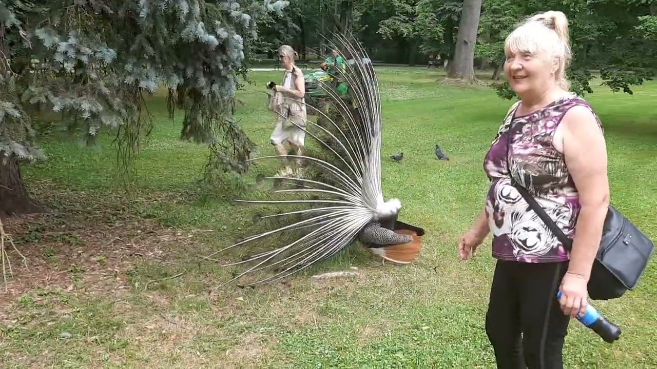 Park in Warsaw 