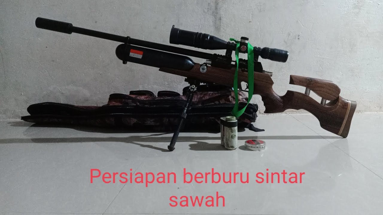 berburu sintar sawah,,,