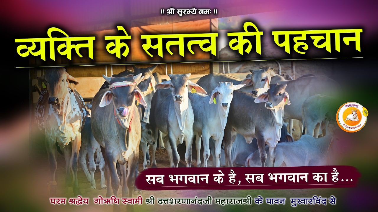 व्यक्ति के सतत्व की पहचान कैसे करें? | सब भगवान के हैं, सब भगवान का है | गोऋषि पथमेड़ा महाराजश्री