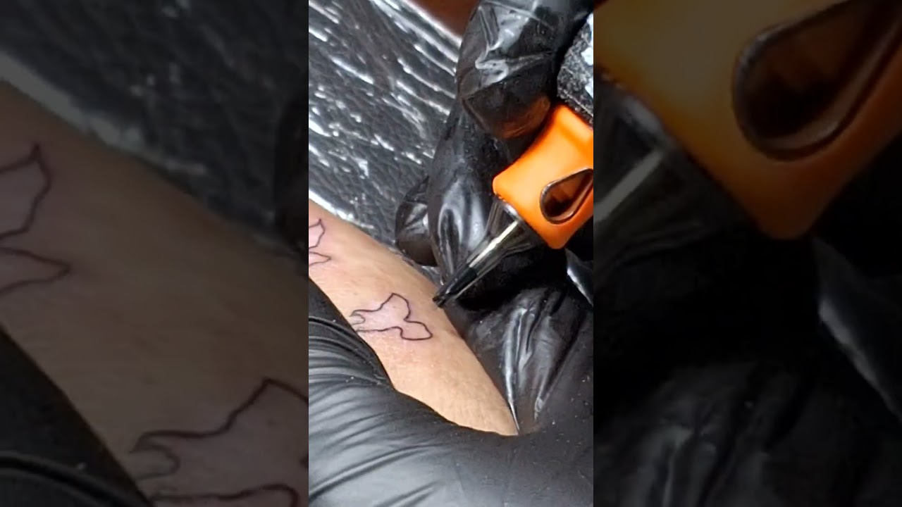 Tattoo (04/10/2025)