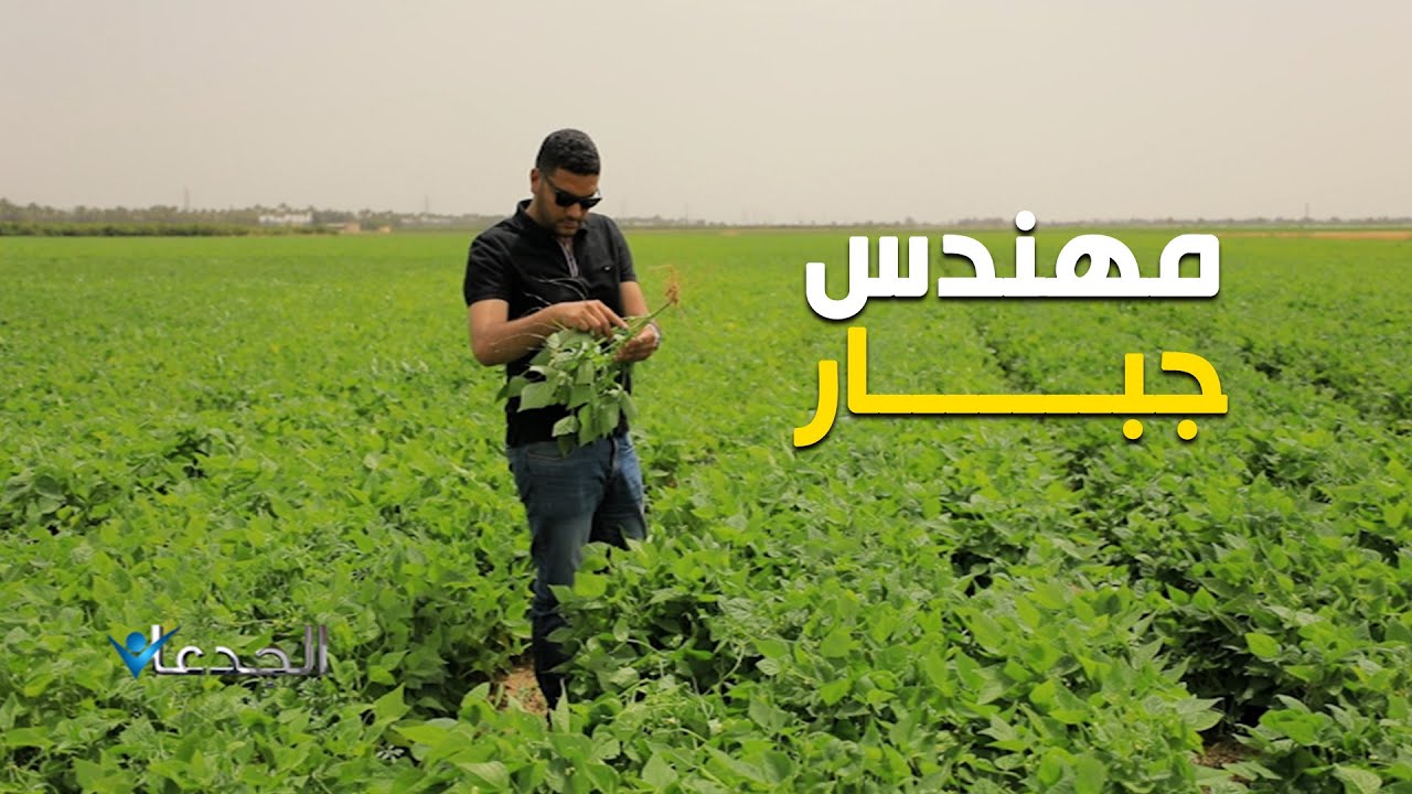 ياسر ديبان  .. مهندس ميكانيكا جبار.. بيزرع ١٣٥٠ فدان بالنوبارية .. مالوش حل