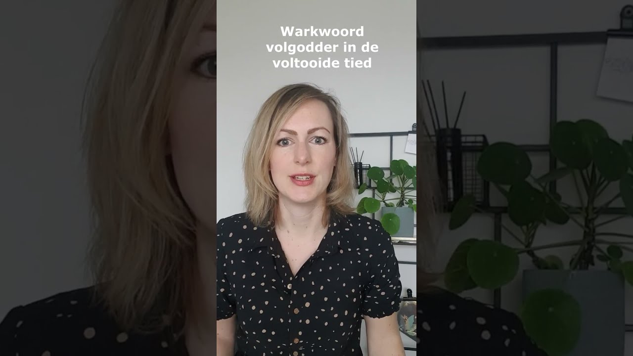 Warkwoord volgodder in et Stellingwarfs