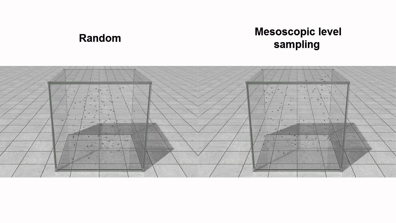 Biologically-Inspired Visual Simulation of Insect Swarms