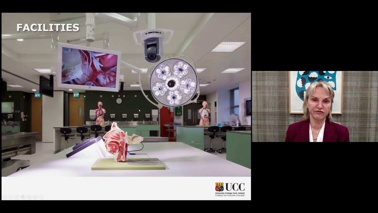 Meet Professor Helen Whelton, Head of College of Medicine and Health, University College Cork