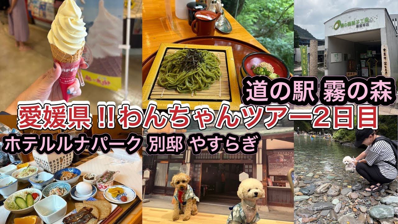 愛媛県‼︎わんちゃんツアー2日目・ホテルルナパーク 別邸 やすらぎから道の駅霧の森人気のスポットへ〜