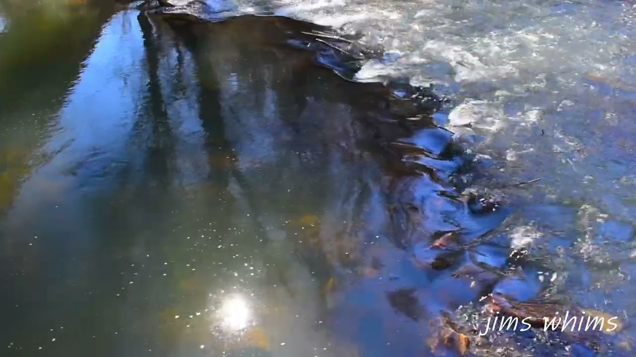 Reflection Tales: Rhythmic Cascading Water on Cahaba River