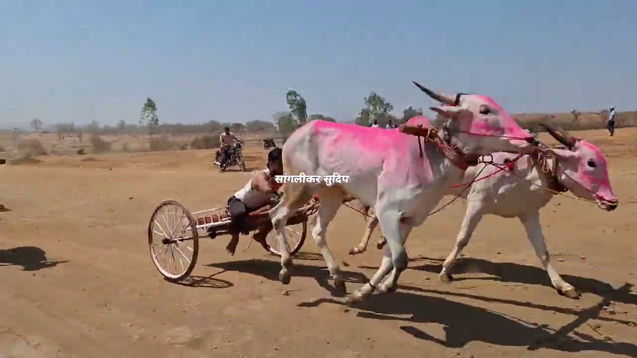 तामगाव नवतर आदत गट तिन्ही एकत्र