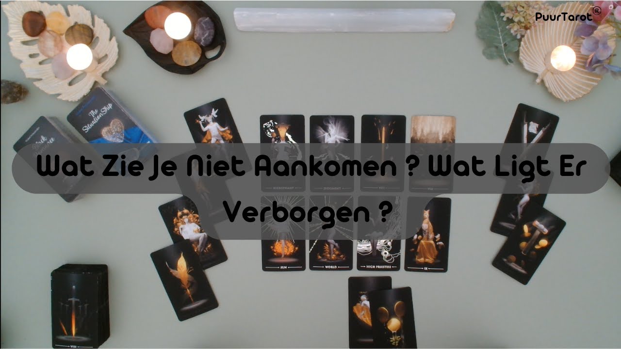 Collectief - Higher Level Commitment - Diepe Liefde Naar Elkaar Toe - #tarotreading #november 2024