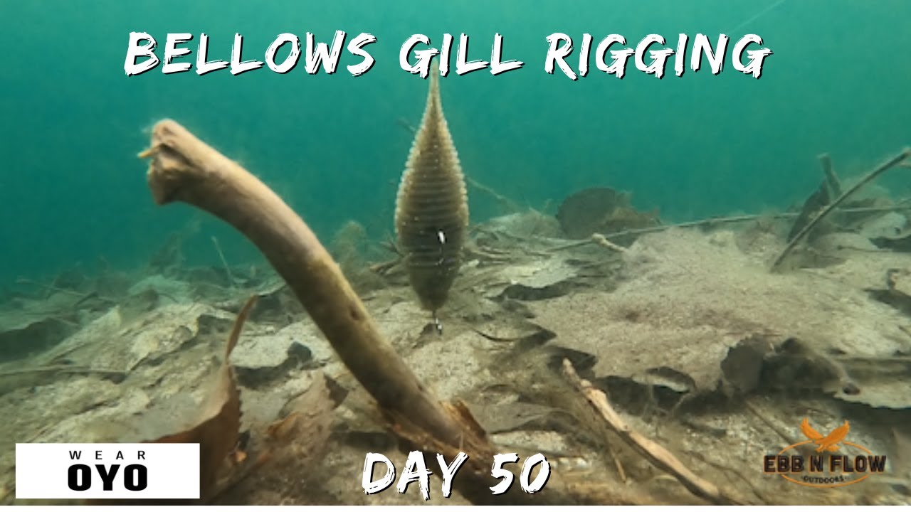 GEECRACK BELLOWS GILL: 3 WAYS to Rig It & UNDERWATER TRUTH!