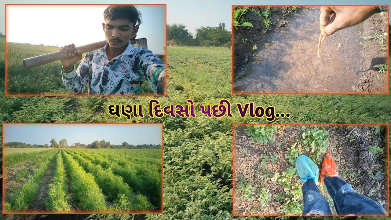 Ghana divso pasi Vlog 😁 chava pava mate special jugaad #vlog #lifestyle 