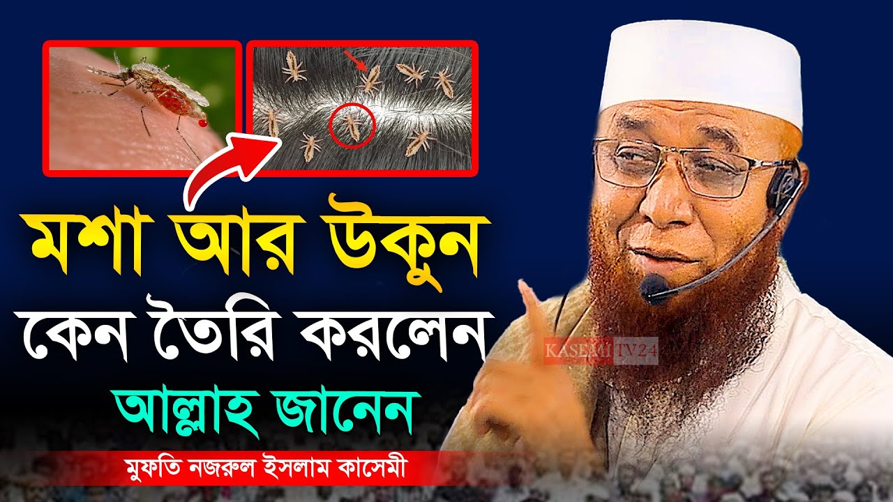 মশা আর উকুন কেন তৈরি করলেন আল্লাহ । মুফতি নজরুল ইসলাম কাসেমী । Mufti Nazrul Islam Kasemi