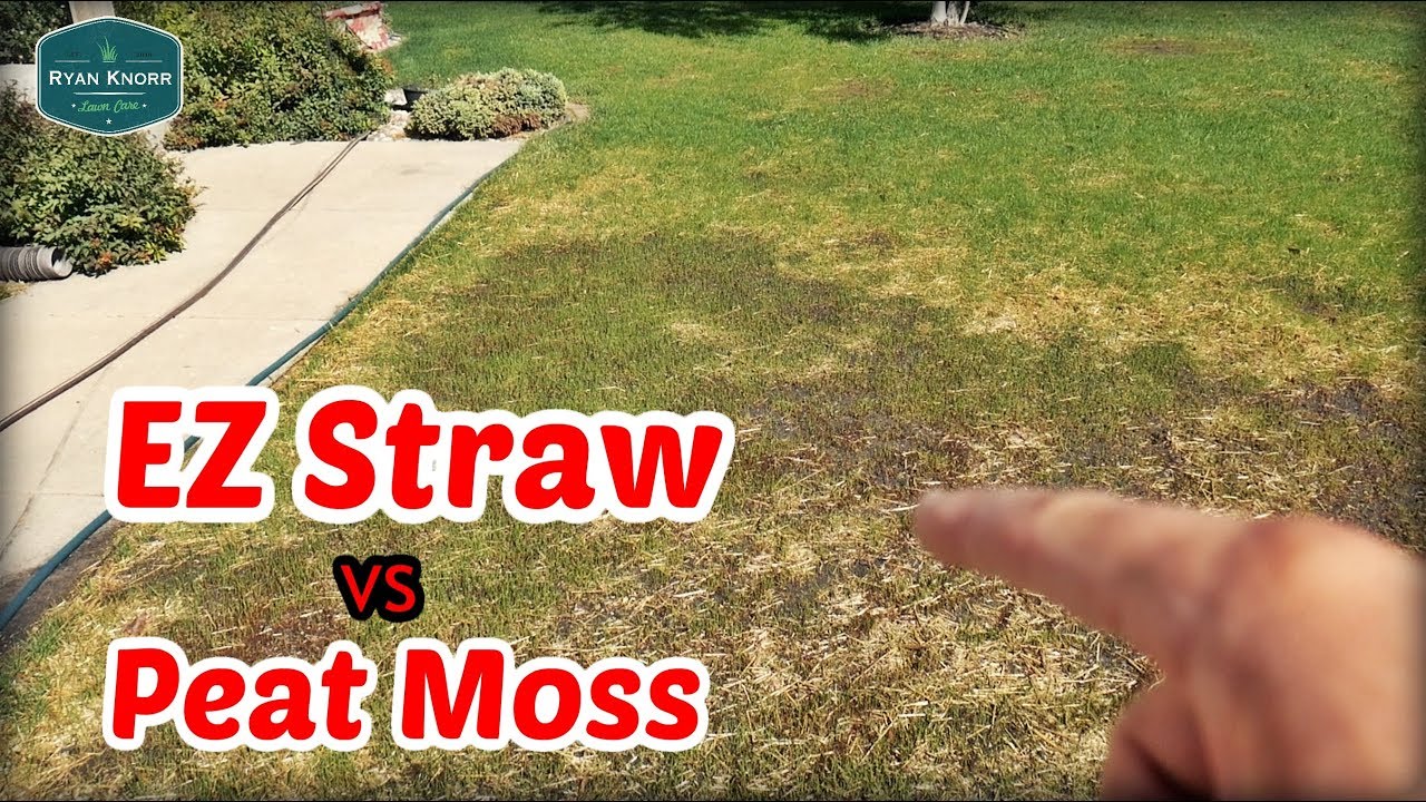 Front Lawn Renovation Update + EZ Straw vs Peat Moss